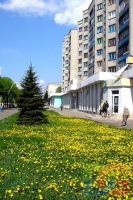 Лисичанск - день города 2019. Лисичанск - герб и флаг