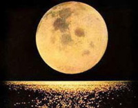 Обращённая к нам сторона Луны полностью освещена Солнцем — это полнолуние. Фото: Shutterstock 
