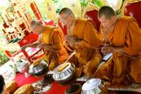 ...во имя всех живых существ (Фото: Gina Smith, Shutterstock)