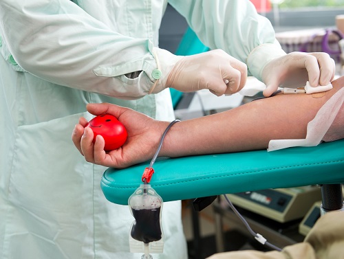 И, конечно же, сегодня все желающие могут сдать кровь (Фото: hxdbzxy, Shutterstock)