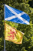 Флаг Шотландии и Королевский штандарт (Фото:Brendan Howard, Shutterstock)