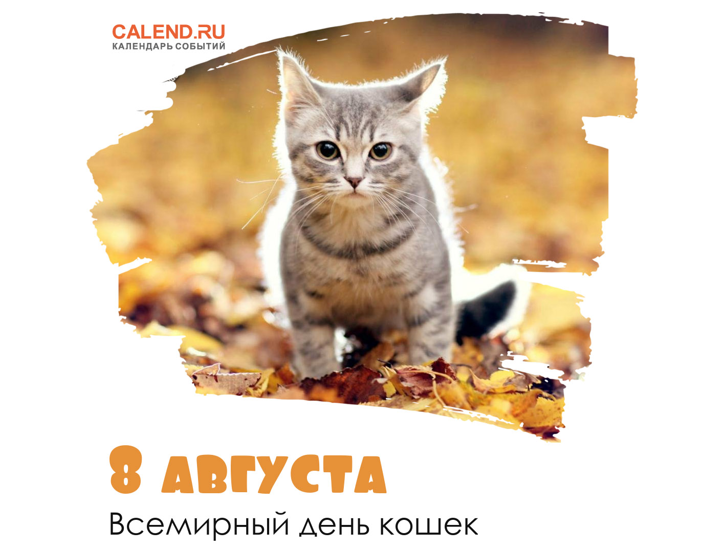 Всемирный день кошек 2023. День кошек. День кошек в России. Всемирный день кошек в России.