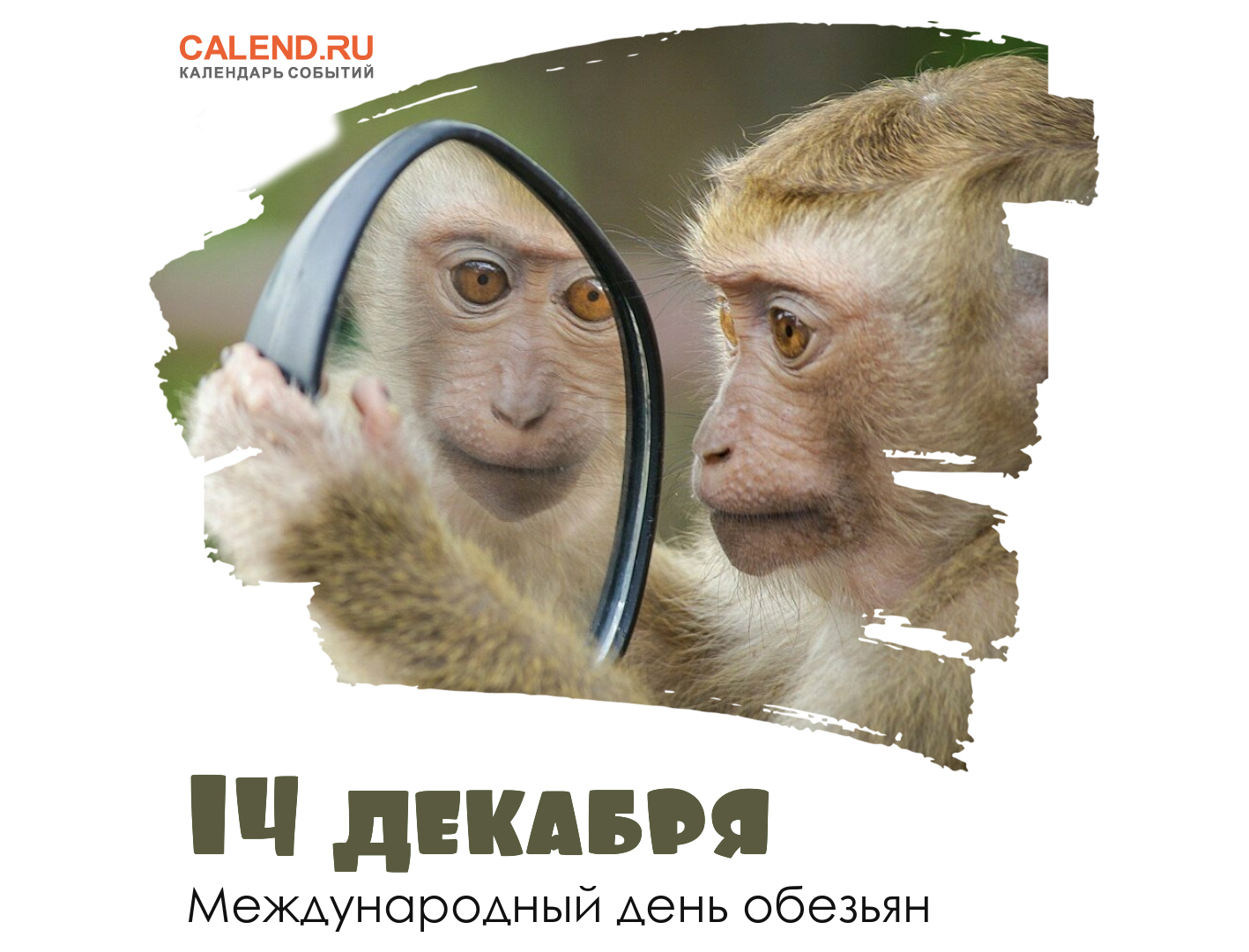 День обезьян