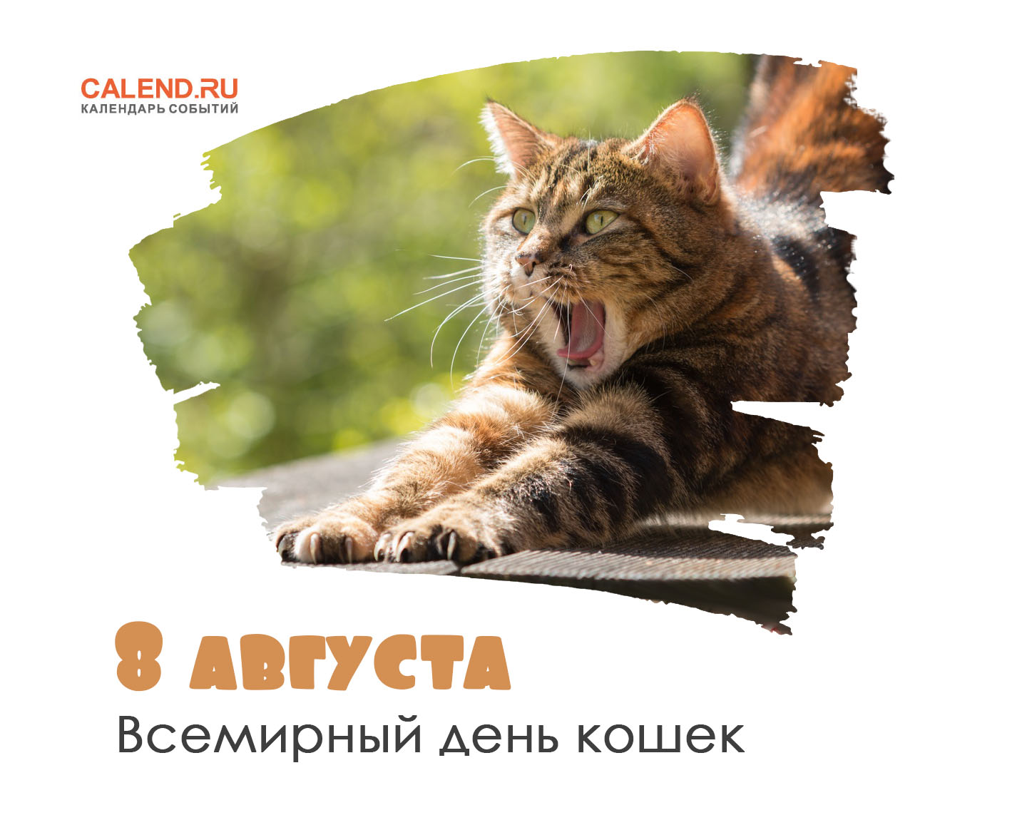 8 августа — Всемирный день кошек / Открытка дня / Журнал Calend.ru