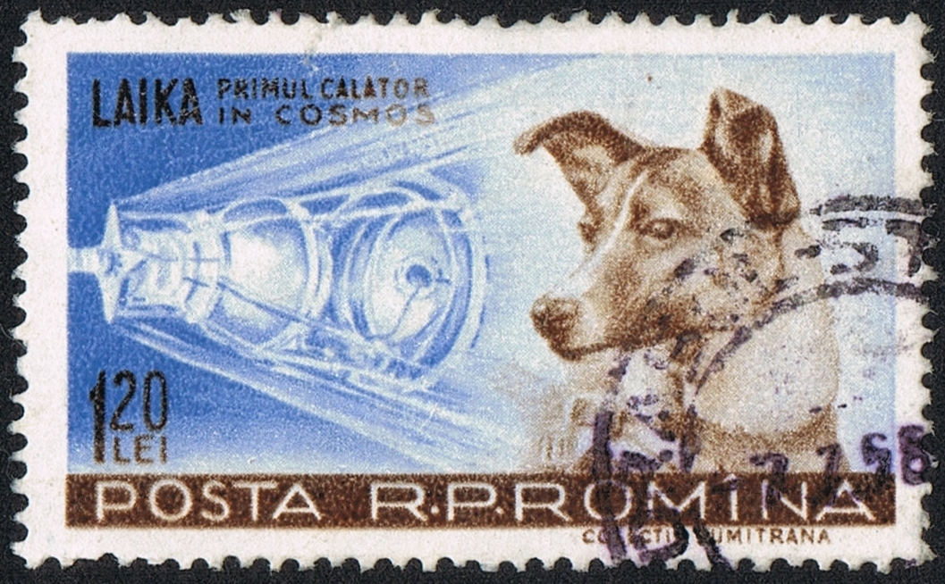  Лайка на почтовой марке