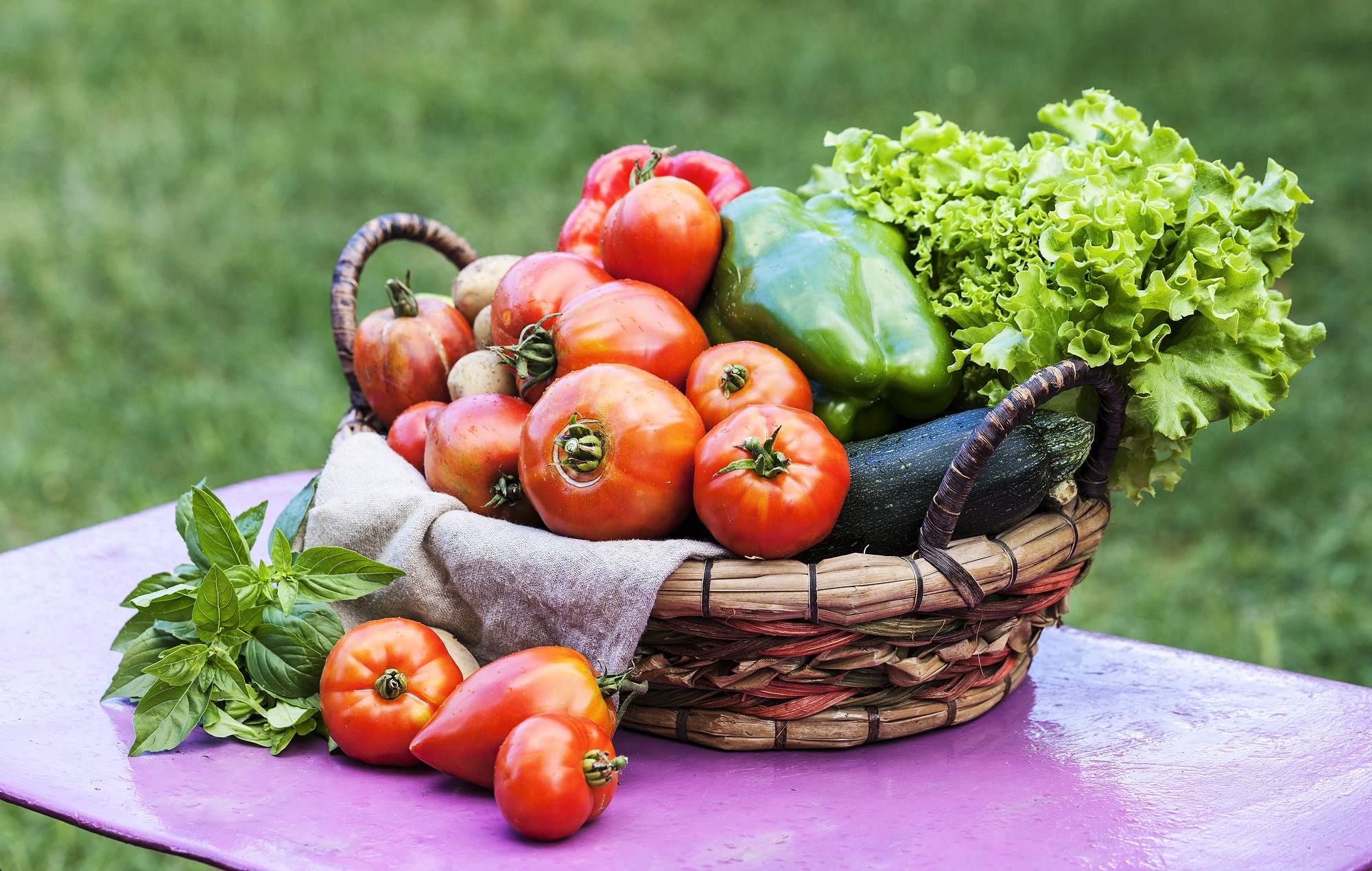 Календарь садовода и огородника на август. Источник фото: Shutterstock