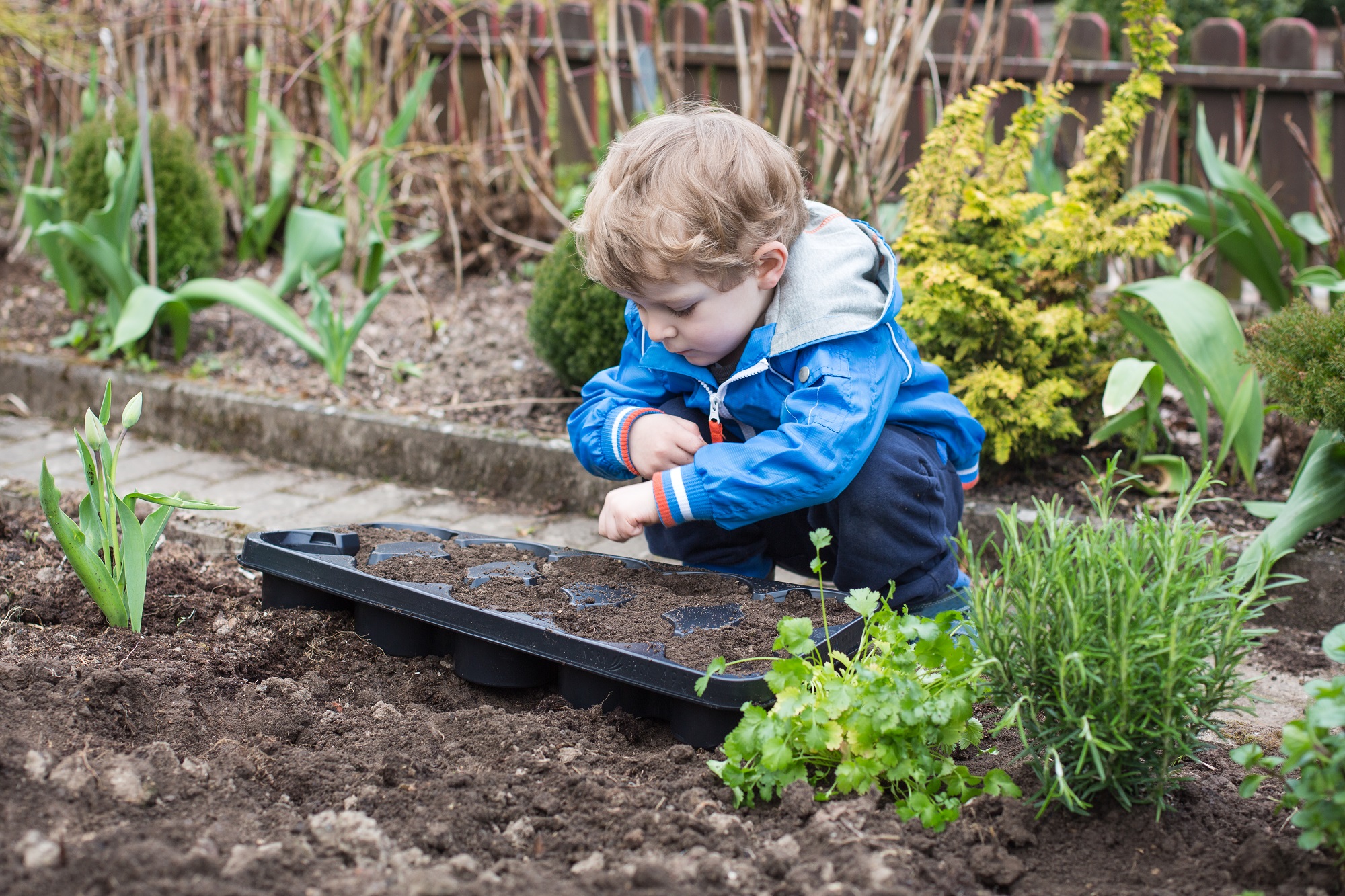 Календарь садовода и огородника апрель. Источник фото: Shutterstock