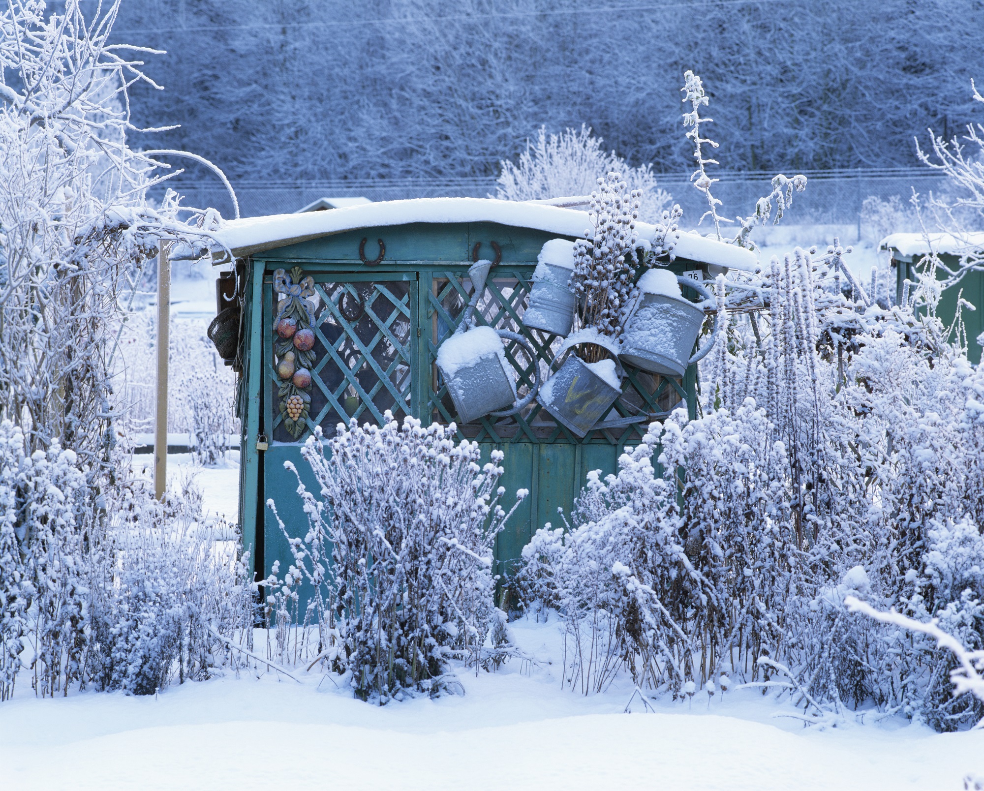 Календарь садовода и огородника на декабрь. Источник фото: Shutterstock