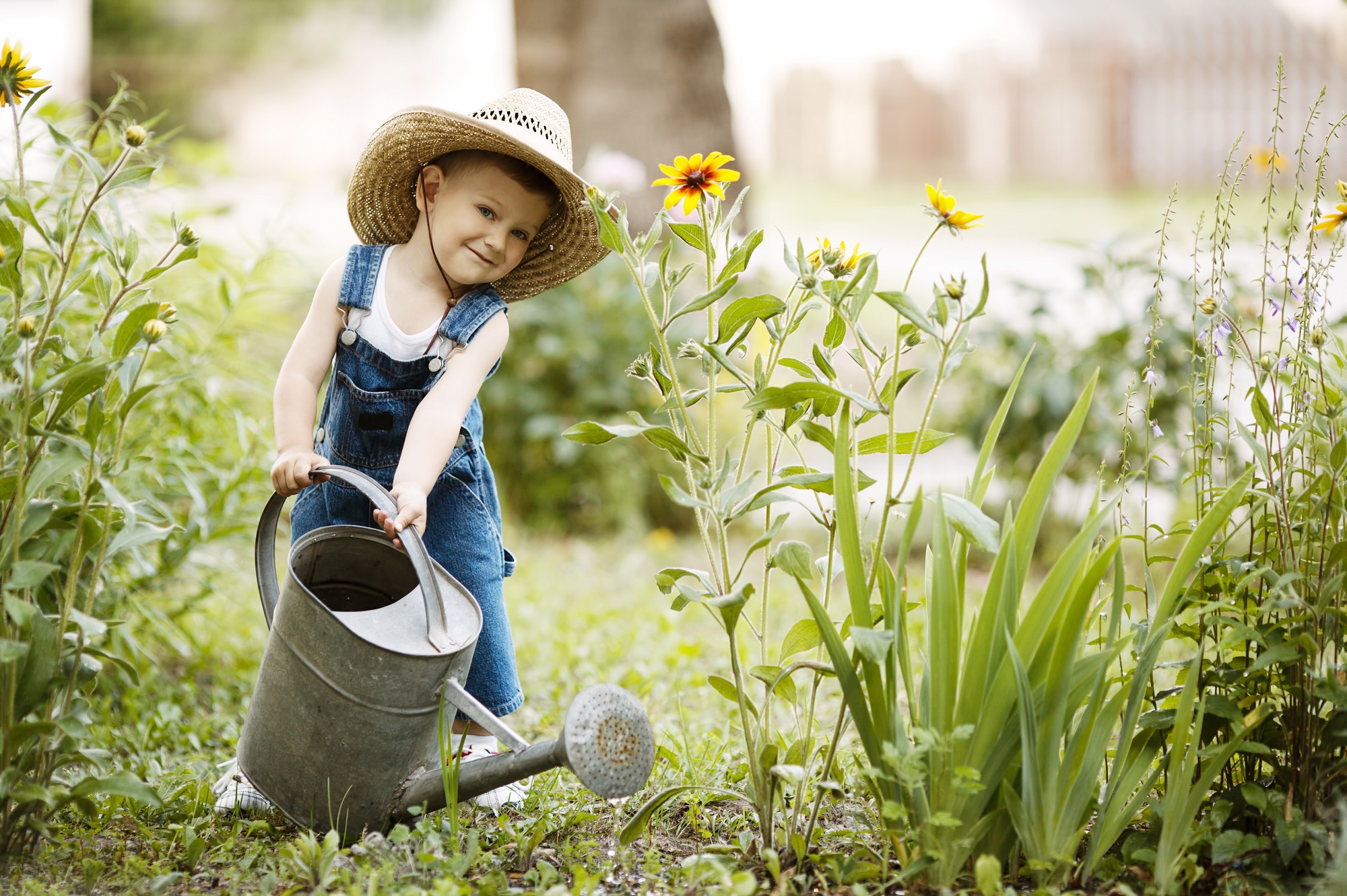 Календарь садовода и огородника июне. Источник фото: Shutterstock