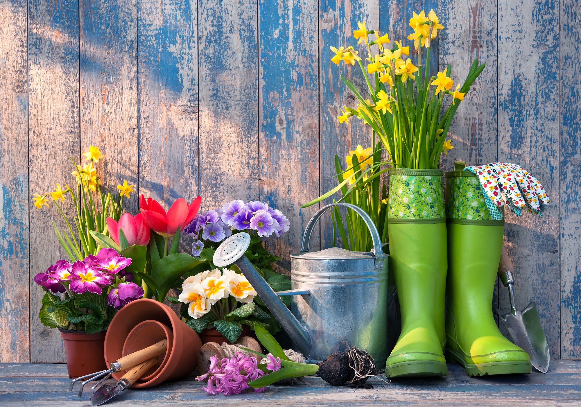 Календарь садовода и огородника на год. Источник фото: Shutterstock