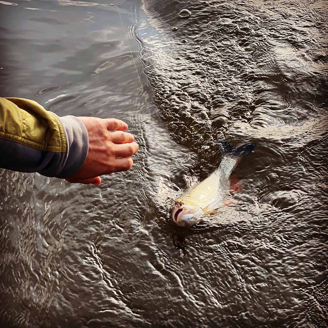 Рыбалка на Голавля с самым дорогим рыболовным гидом