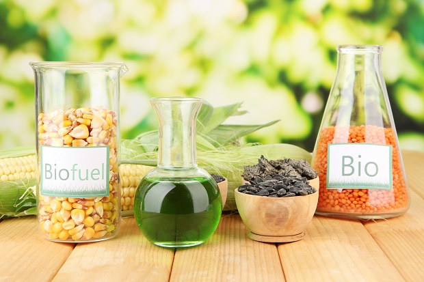 Для производства биодизеля используются сельскохозяйственные культуры