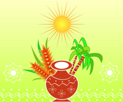 Понгал — праздник урожая в Индии