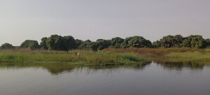 Всемирный день водно-болотных угодий в Камеруне