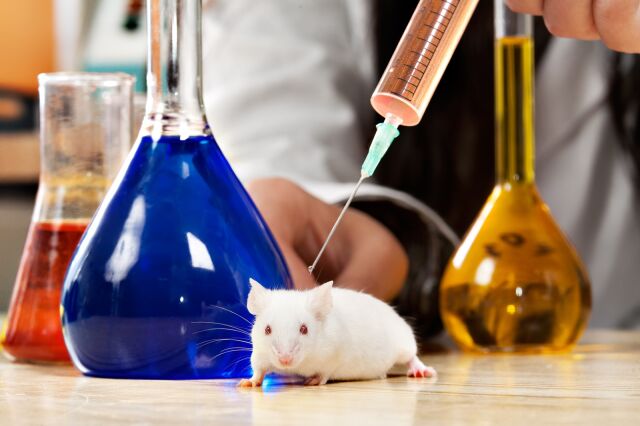 Всемирный день защиты лабораторных животных