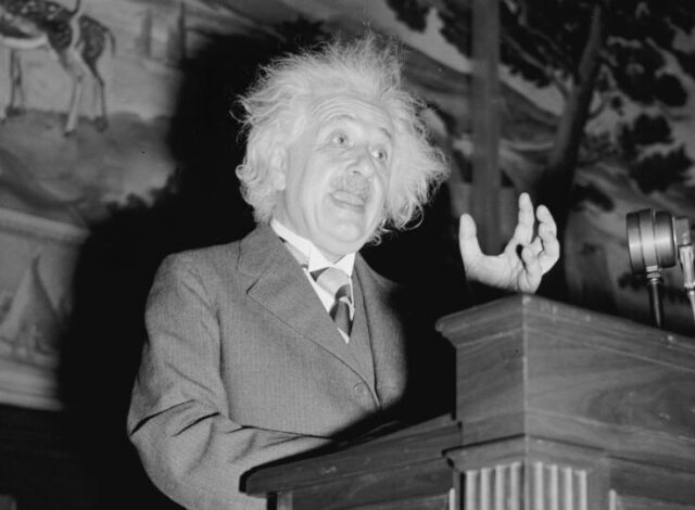 День лохматых