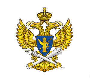 Официальный логотип (Источник: rkn.gov.ru)