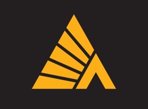Логотип компании (Фото: страница сообщества «Деловые Линии» в ВКонтакте)