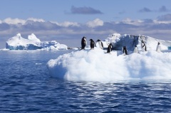 Открытие Антарктиды