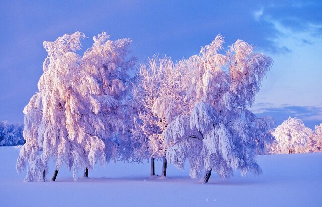 Федосеев день