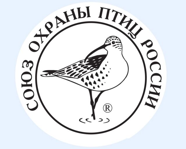 Создан Союз охраны птиц России