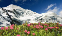 Прекрасная природа Шамони-Монблан… (Фото: Vaclav Volrab, Shutterstock) Прекрасная природа Шамони-Монблан… (Фото: Vaclav Volrab, Shutterstock)