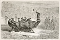Португальская коррида. Иллюстрация 1867 года (Фото: Marzolino, по лицензии Shutterstock.com)