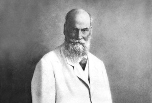 Николай Егорович Жуковский (Фото 1911 года, Wikimedia Commons, )